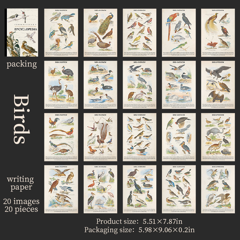 20shetts Encyclopedia whole page washi-sticker book (TZB25102802)