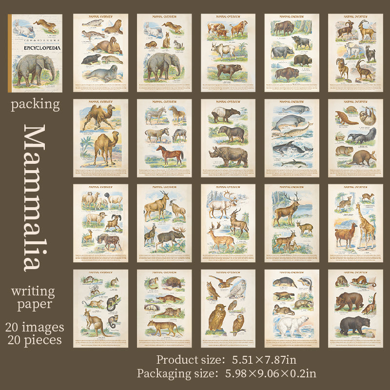 20shetts Encyclopedia whole page washi-sticker book (TZB25102802)