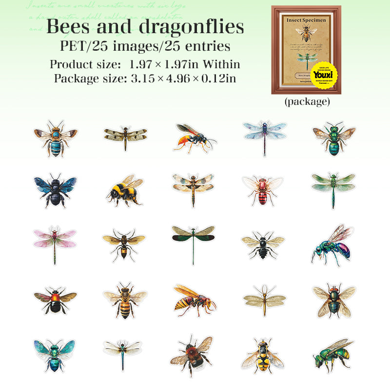 25pcs insect specimen sticker pack (S25082708)