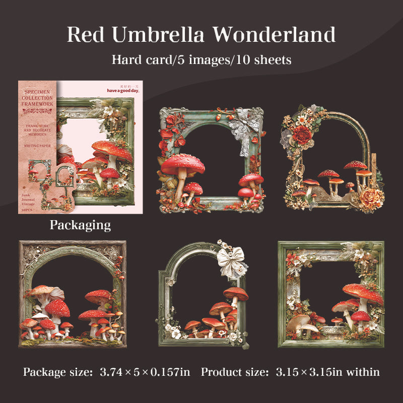 10pcs specimen frame card-sticker pack (S25110601)