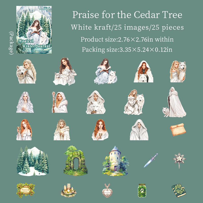 25pcs magical winter sticker pack (S25110613)
