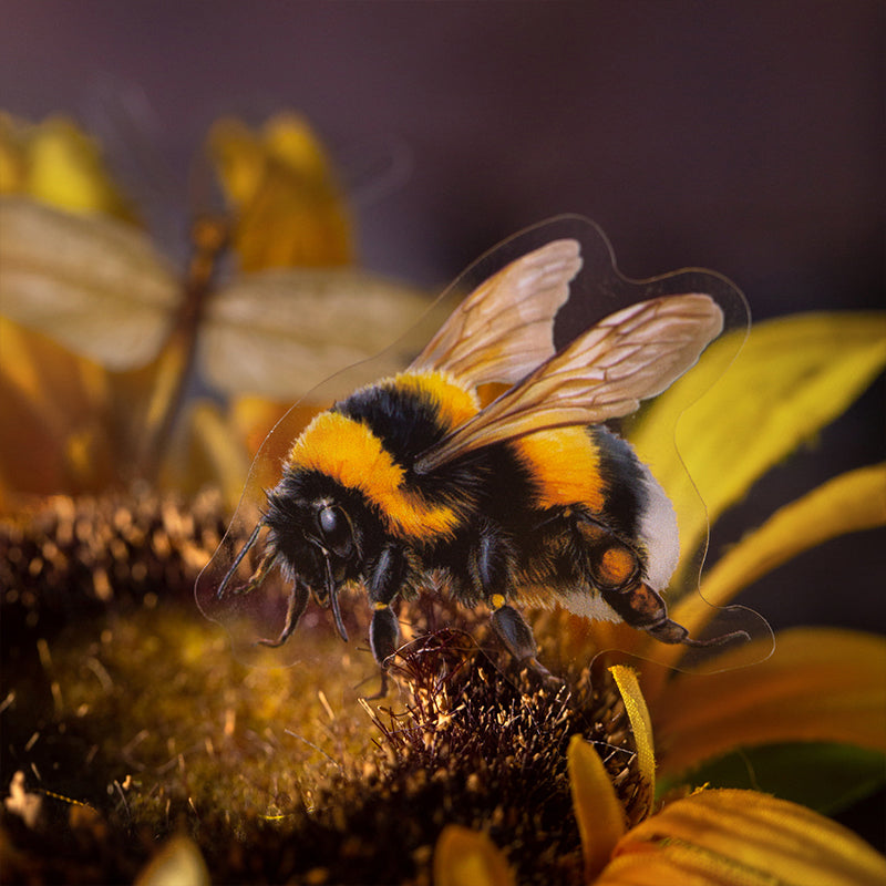 25pcs insect specimen sticker pack (S25082708)