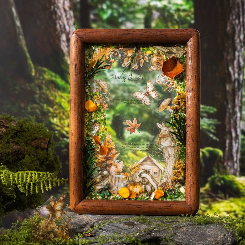 20sheets PET+washi sticker book(TZB25090102)