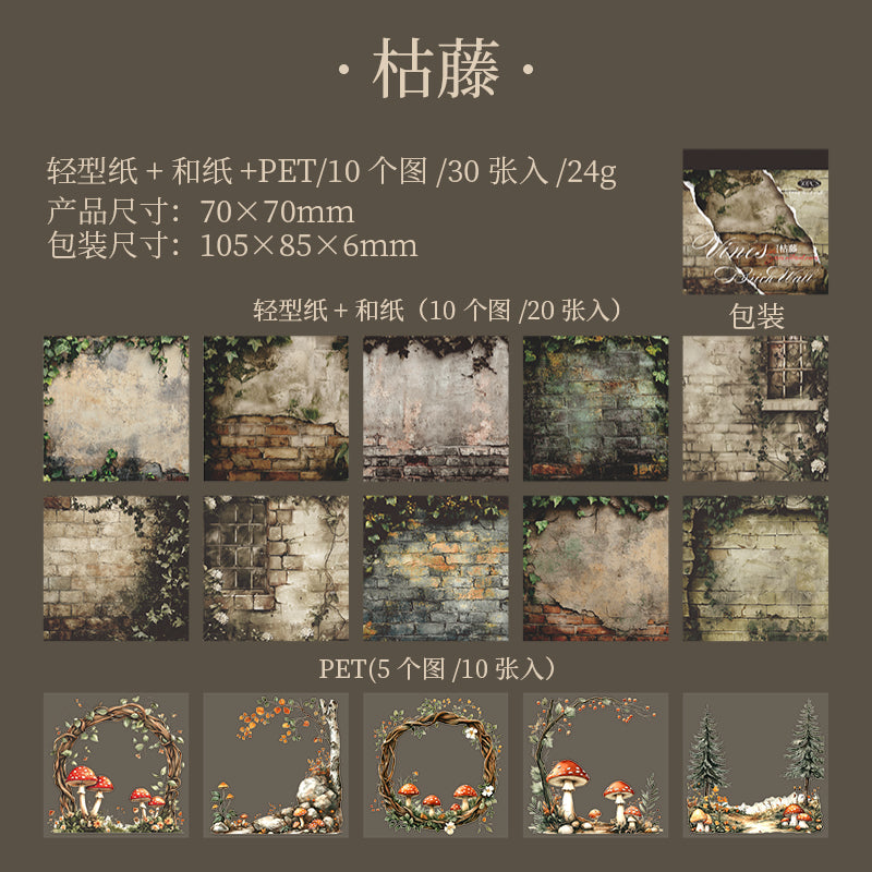 30pcs vine PET+WASHI+PAPER sticker book (TZB25062804)