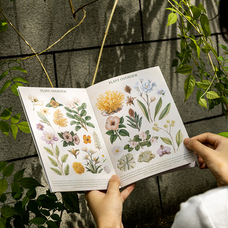 20shetts Encyclopedia whole page washi-sticker book (TZB25102802)