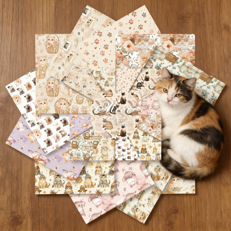 24 st 6-tums kattpapperspaket (TZB25121508)