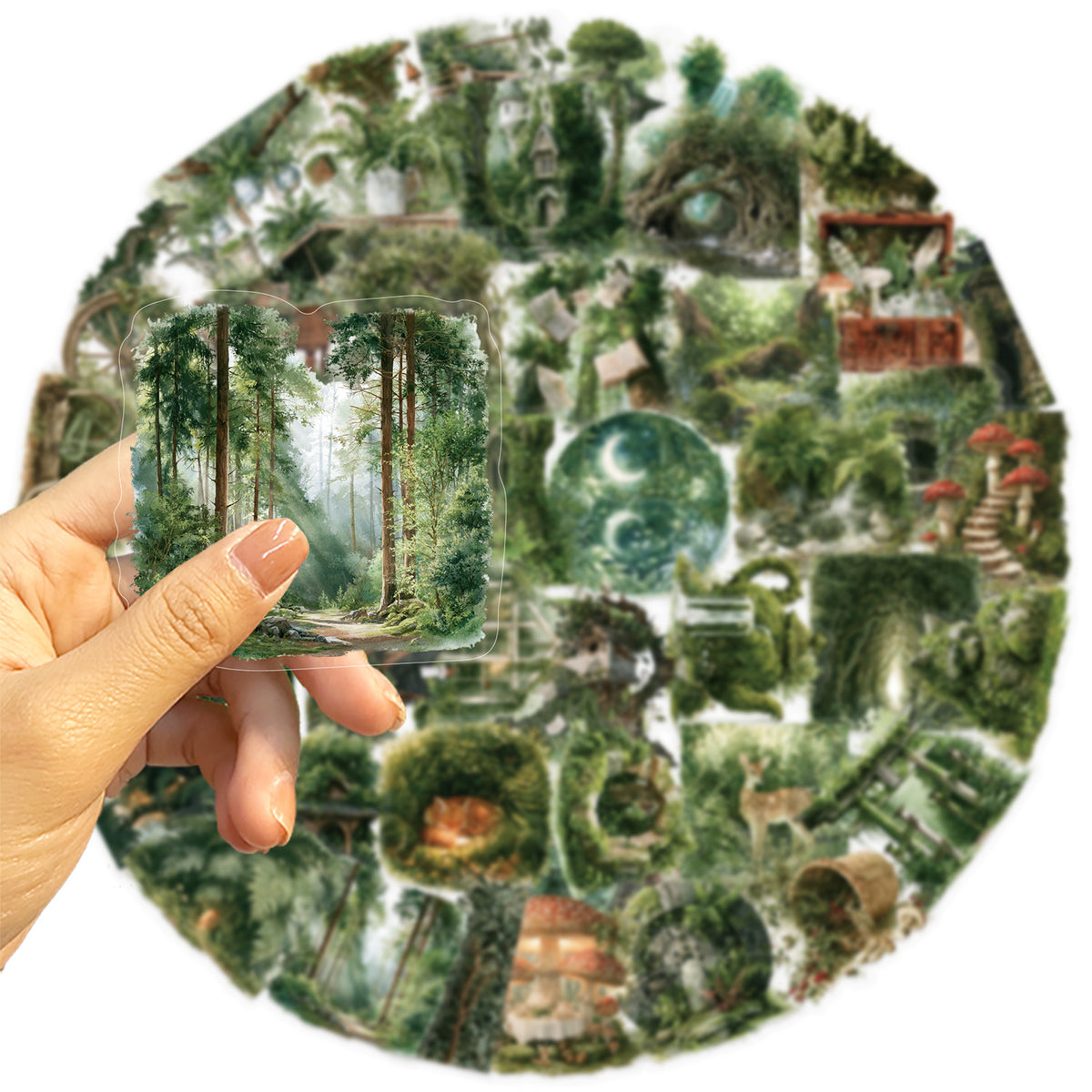 Forest sticker pack 50pcs (S26091406)