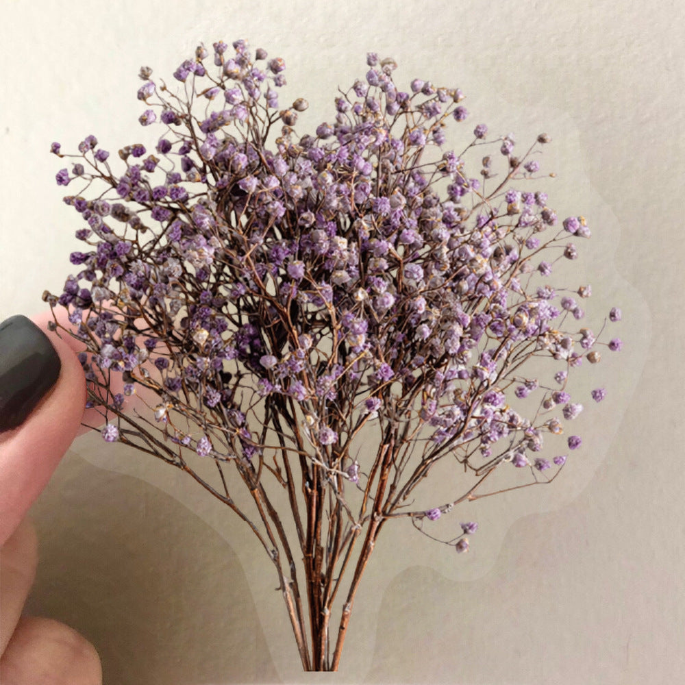 50pcs dry flower sticker pack(S26041508)