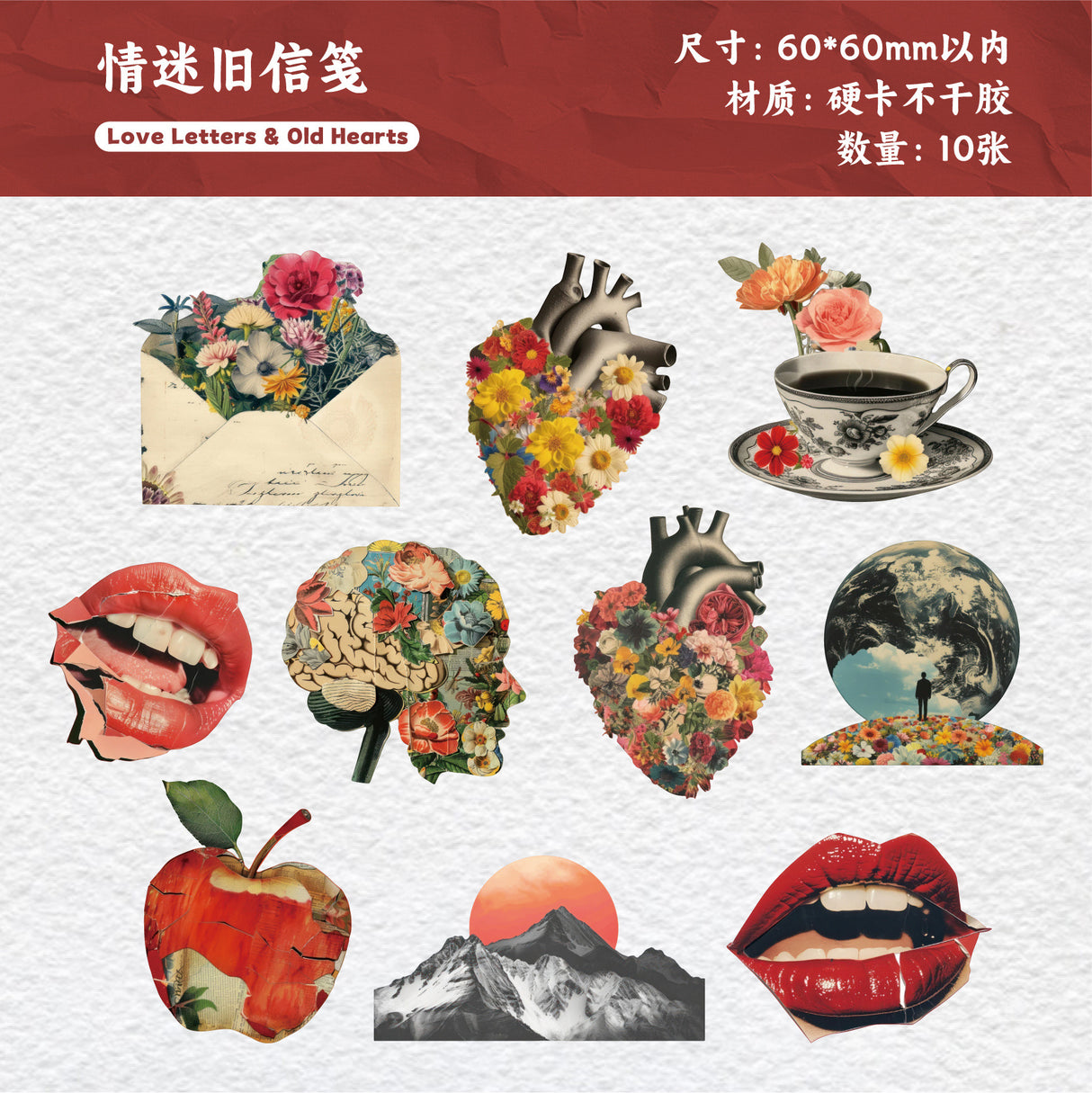 10pcs flora card sticker pack(S26041604)