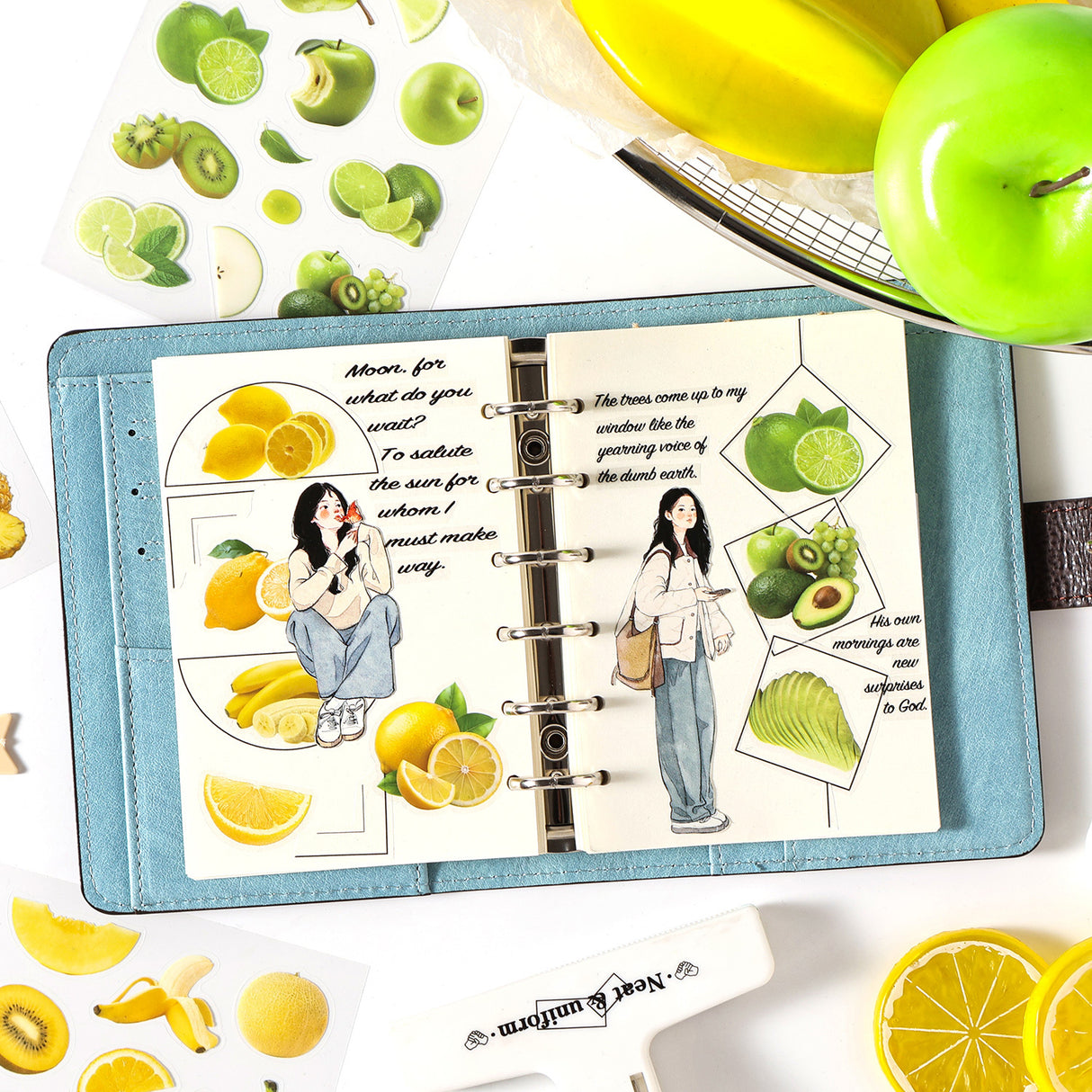 4 sheets fruit PET-sticker pack (S26032601)