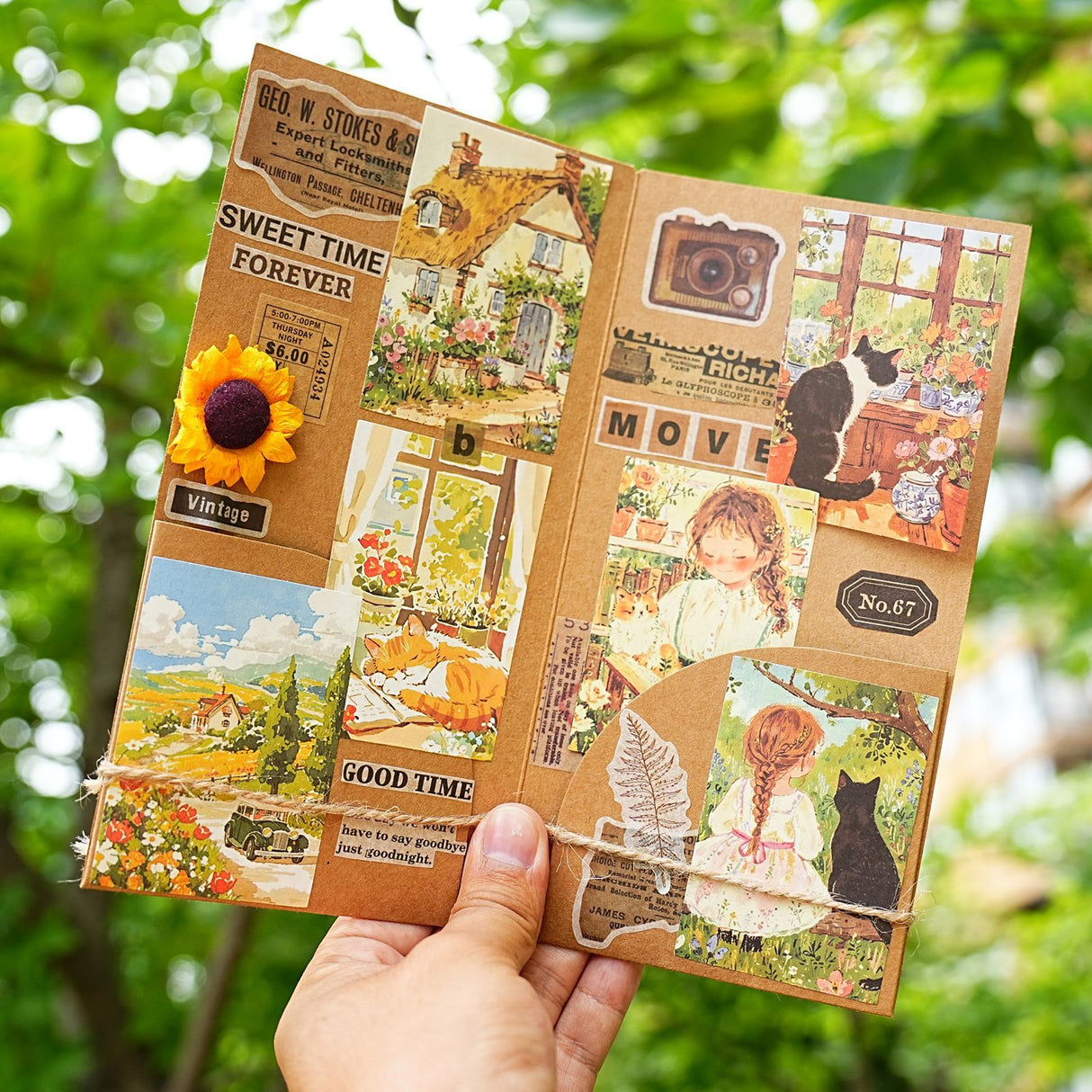 36pcs book realm sticker box (S25070402)