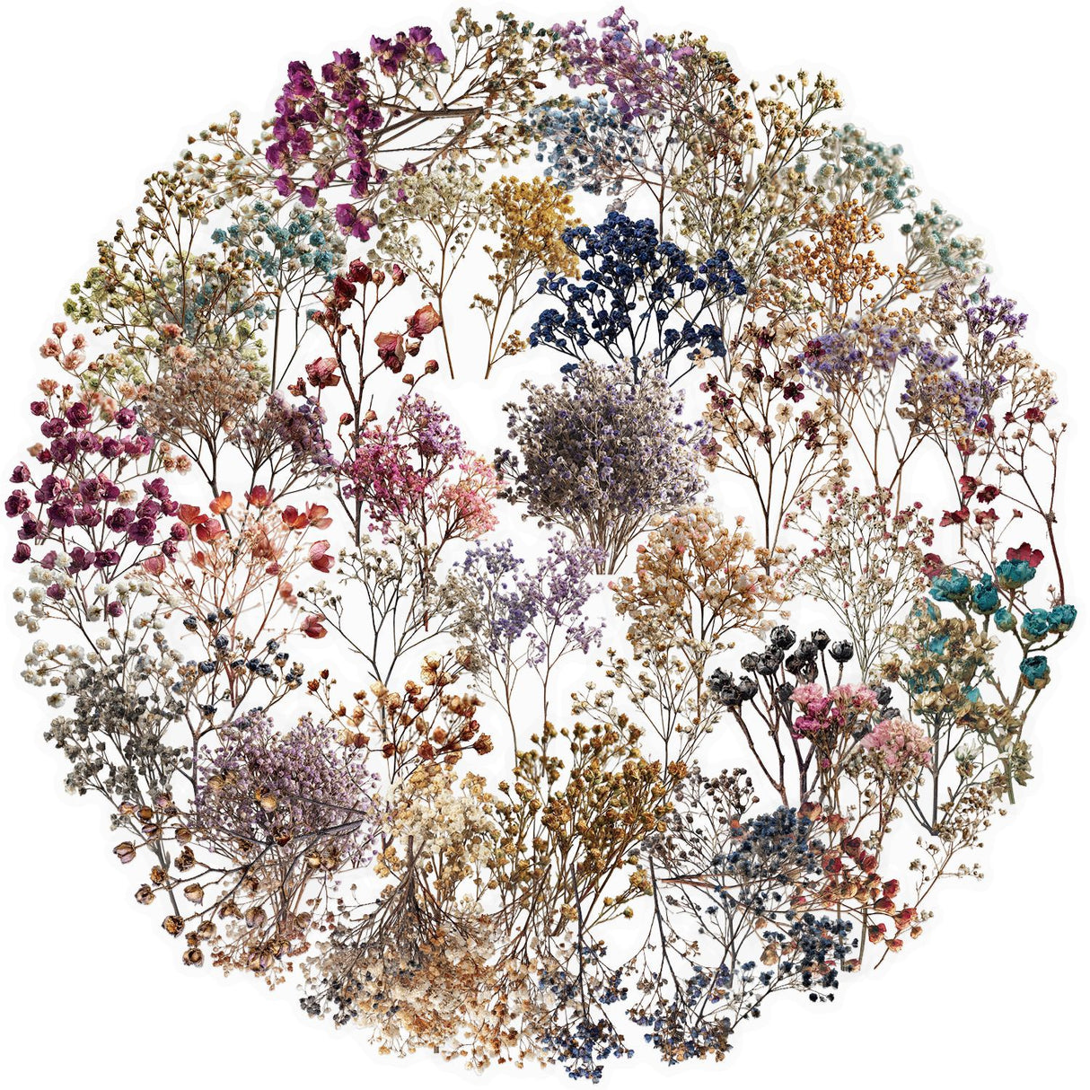 50pcs dry flower sticker pack(S26041508)