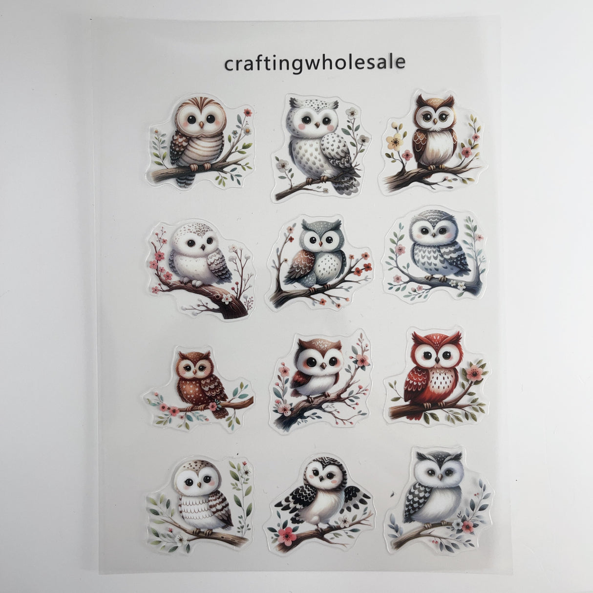 1pc Exclusive owl PET-stickers A5 size (S26011505)