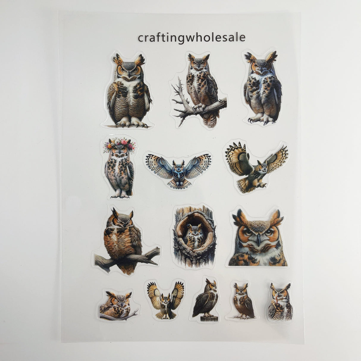 1pc Exclusive owl PET-stickers A5 size (S26011505)