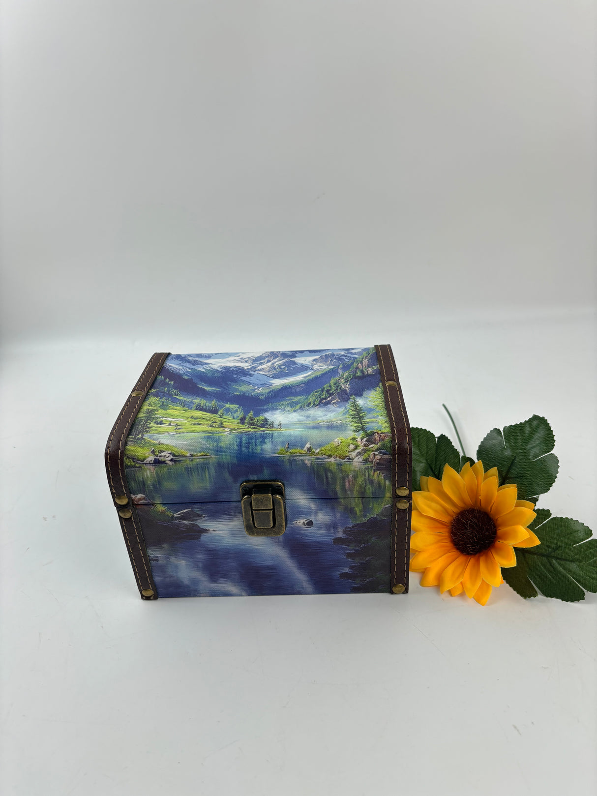 L size VIEW deco-box (AUL092707)