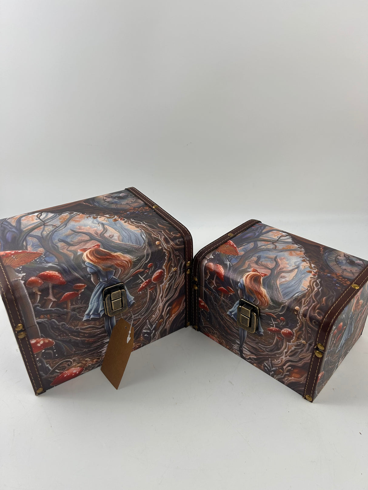 Dark Alice L/XL size deco-box(AUL092710)