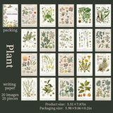 20shetts Encyclopedia whole page washi-sticker book (TZB25102802)