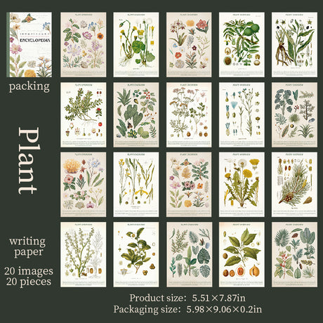 20 Blatt Enzyklopädie, ganzseitiges Washi-Stickerbuch (TZB25102802)