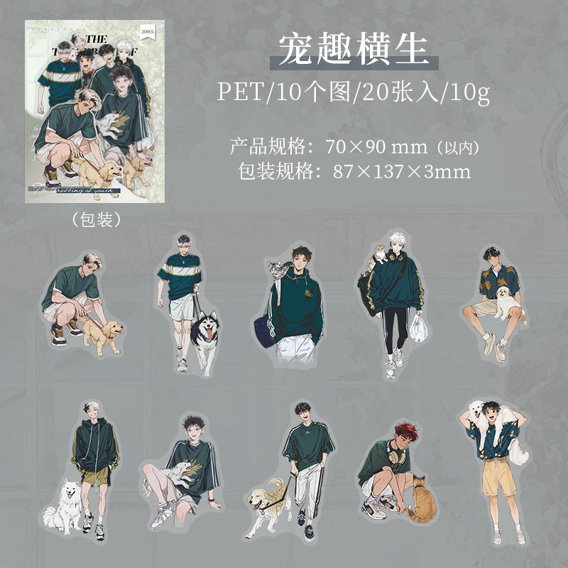 20pcs young boy sticker pack（S25070802）