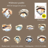 10pcs path of puddles sticker pack (S25080607)