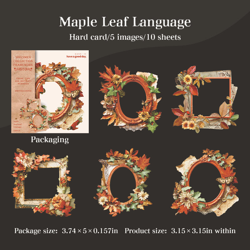 10pcs specimen frame card-sticker pack (S25110601)