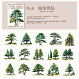 30pcs tree sticker pack(S26053001)