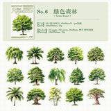 30pcs tree sticker pack(S26053001)