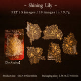 10pcs night shines PET-sticker pack (S25092410)