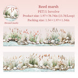 1 roll river PET-tape (T25092511)