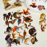 56pcs animals PET-sticker pack (S25112704)