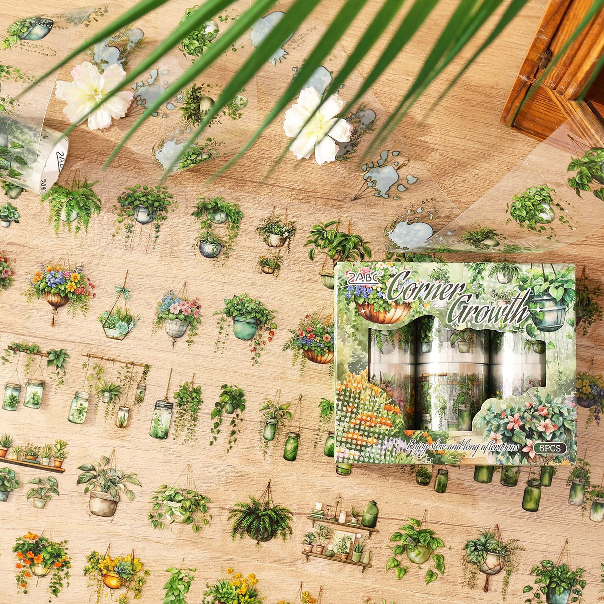 6 rolls plant tape box (T25110609)