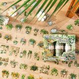 6 rolls plant tape box (T25110609)