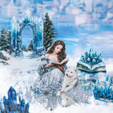 25pcs magical winter sticker pack (S25110613)