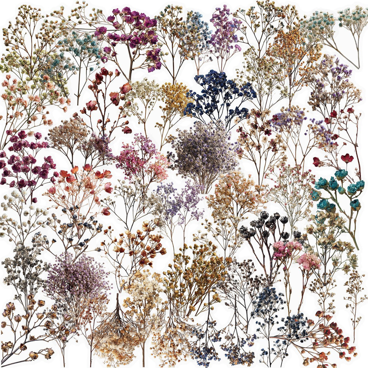 50pcs dry flower sticker pack(S26041508)