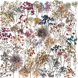 50pcs dry flower sticker pack(S26041508)