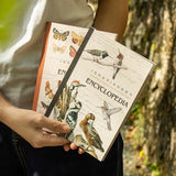 20shetts Encyclopedia whole page washi-sticker book (TZB25102802)