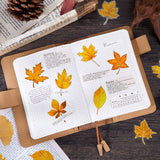 30pcs leaf sticker pack (S25100905)