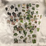 Plants 8sheets pre-cut sticker