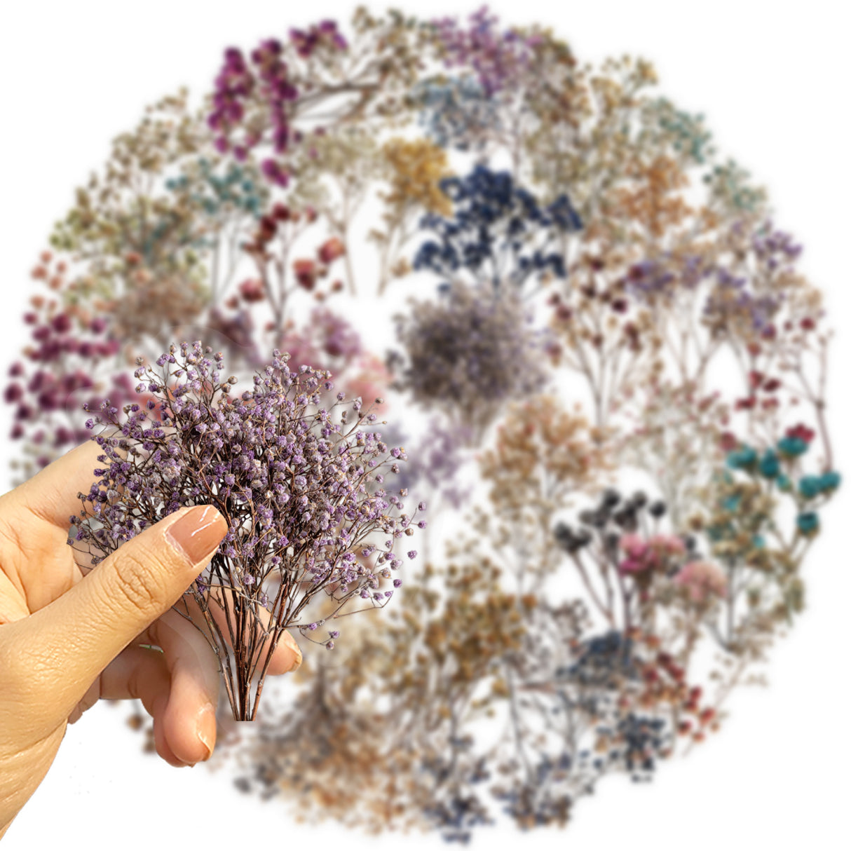 50pcs dry flower sticker pack(S26041508)