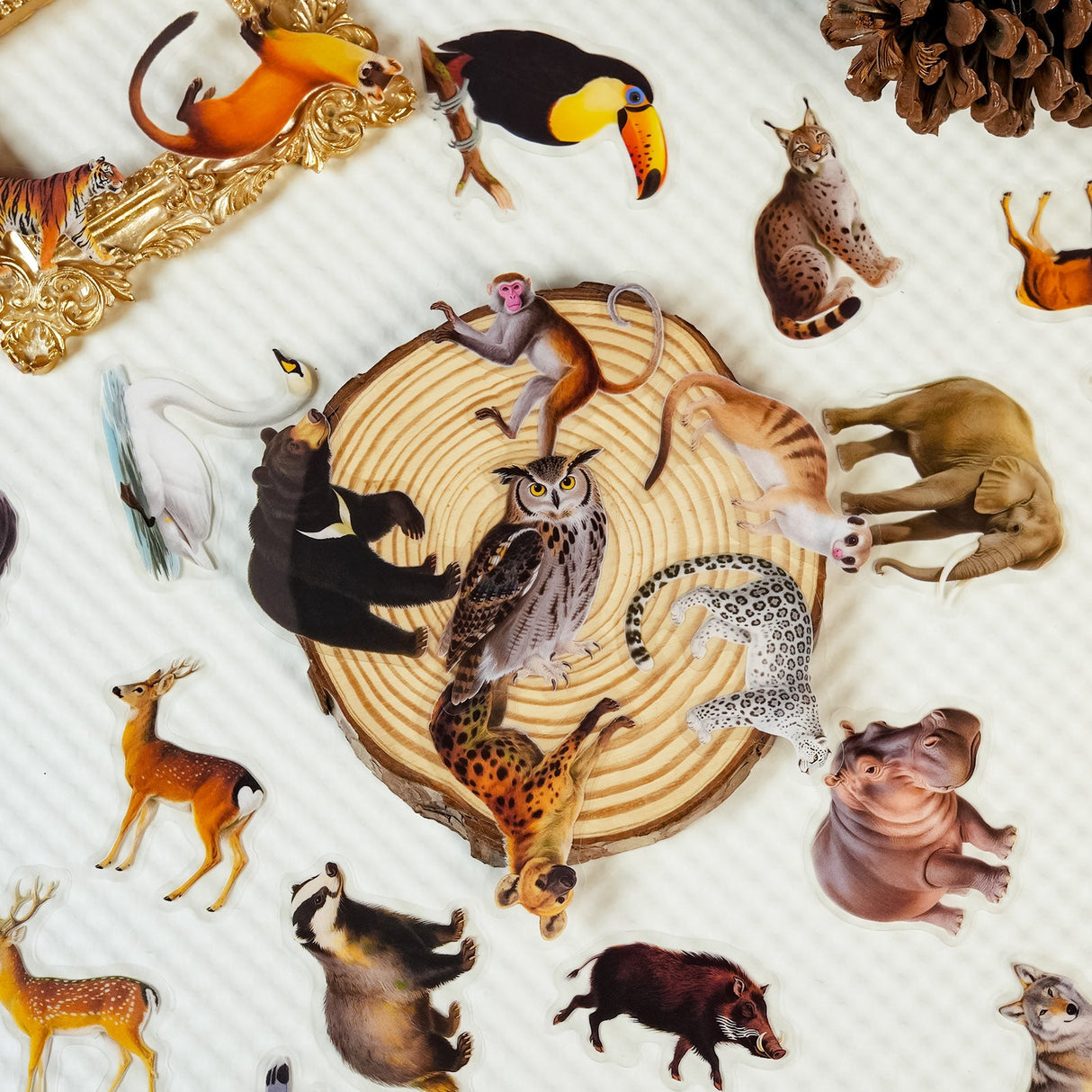 56pcs animals PET-sticker pack (S25112704)