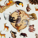 56pcs animals PET-sticker pack (S25112704)