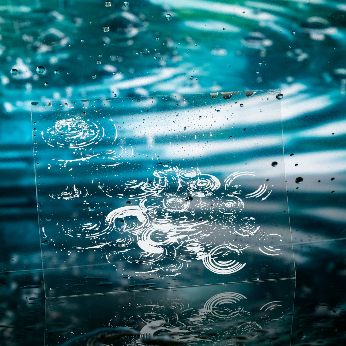 20pcs natural collection PET-sticker pack (S25081801)