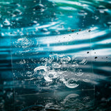 20pcs natural collection PET-sticker pack (S25081801)