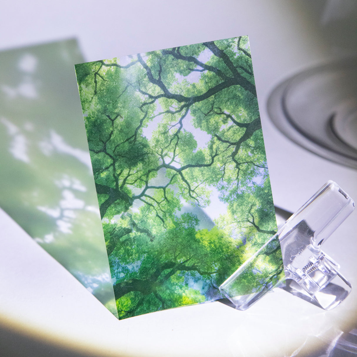 10pcs summer PET-sticker book(TZB26042106)