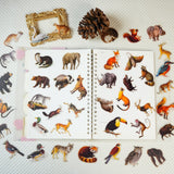 56pcs animals PET-sticker pack (S25112704)