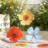 10pcs flower frame sticker pack(S26071408)