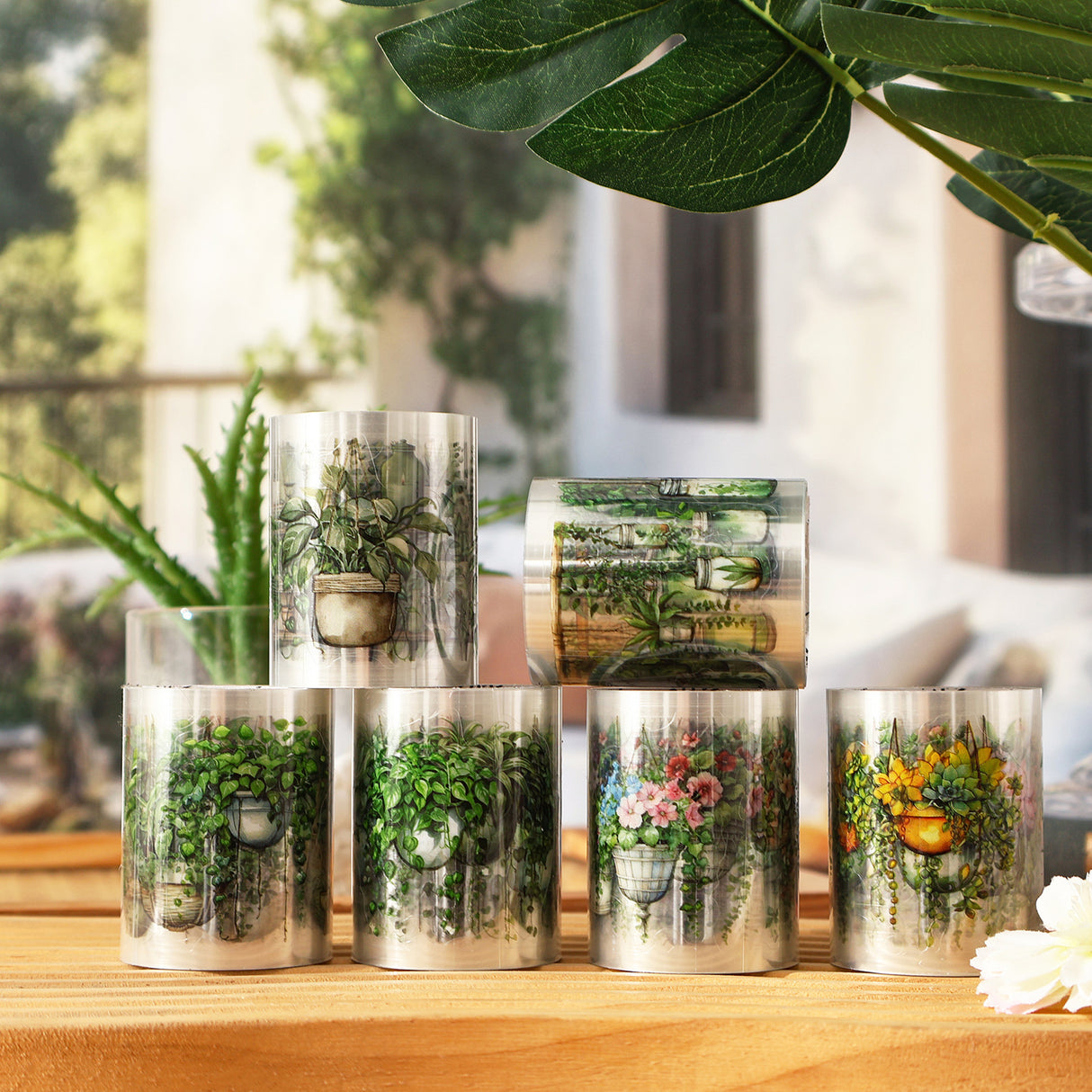 6 rolls plant tape box (T25110609)