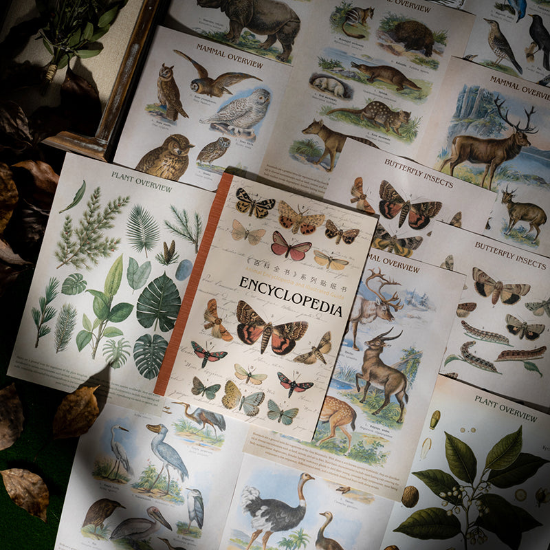 20shetts Encyclopedia whole page washi-sticker book (TZB25102802)