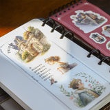 20pages fairy tale PET+washi sticker book(TZB26061609)