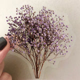 50pcs dry flower sticker pack(S26041508)